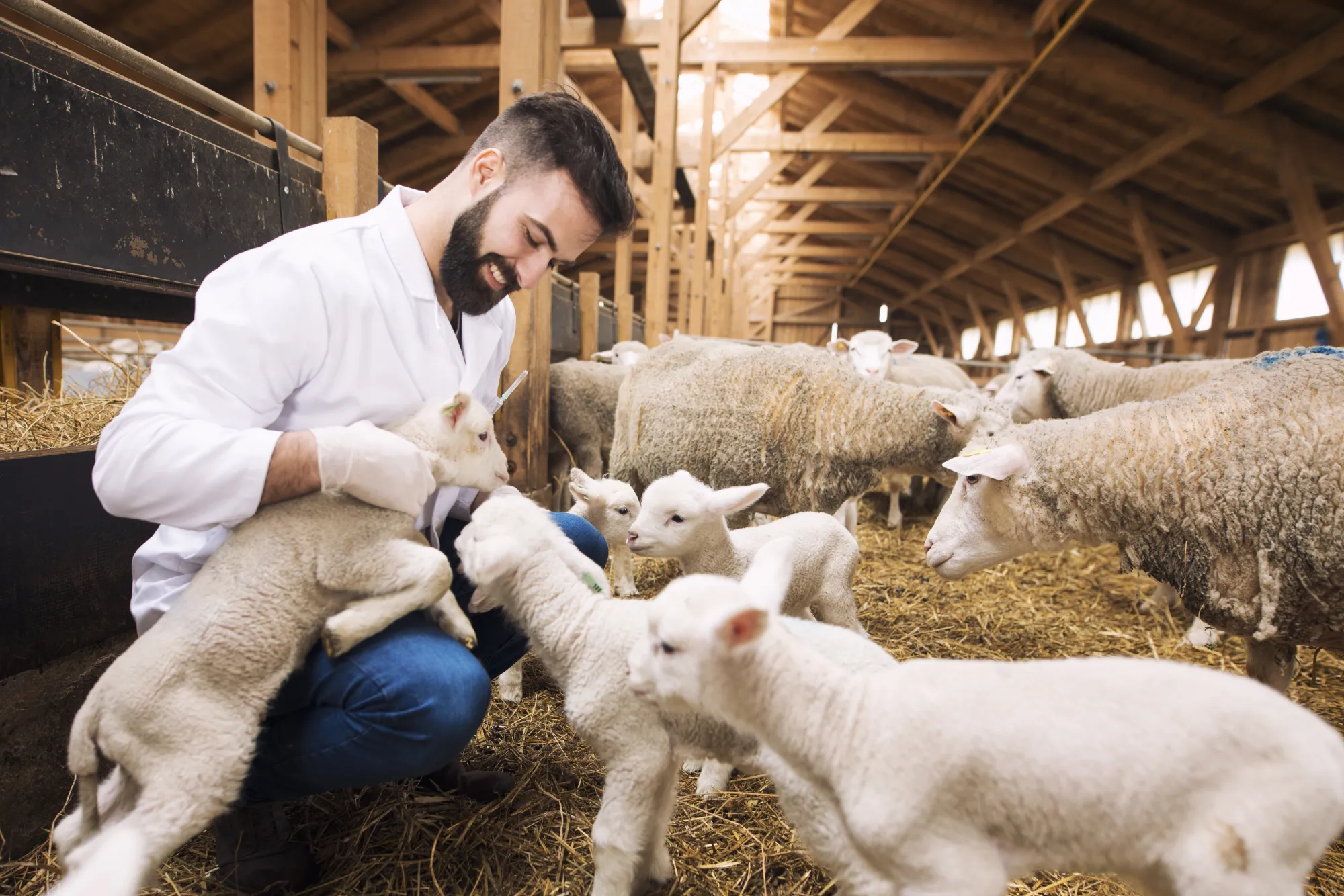 Sistema de Gest�o para Ind�stria de Nutri��o Animal