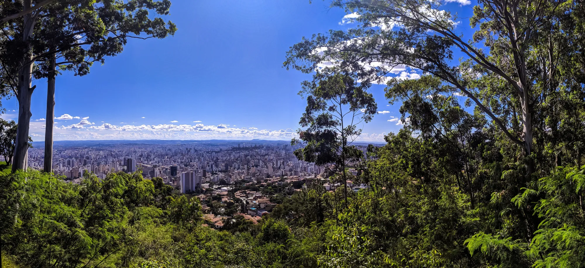 CIGAM - Belo Horizonte - Minas Gerais