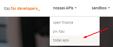 Arquivo:Todas APIS Itau.png