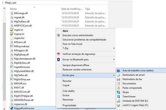 IconeCIGAM