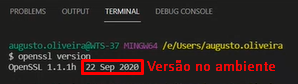 Arquivo:Verificacao OpenSSL.png