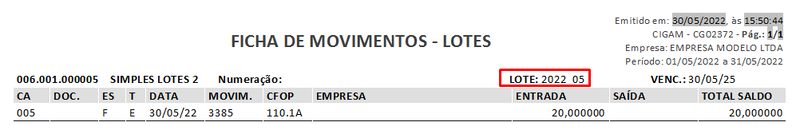 Arquivo:ExemploRelatórioFichaLote.png