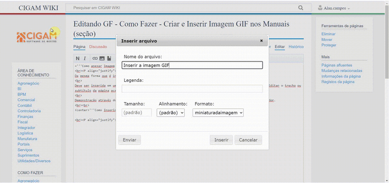 Arquivo:Imagem GIF WIKI.gif