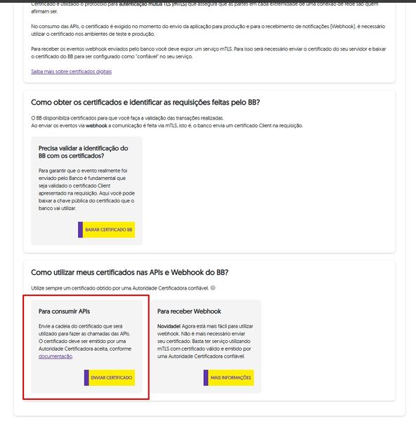Arquivo:Pix v2 - imagem 2.jpg